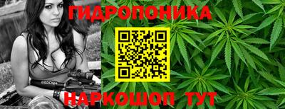 трава Гай
